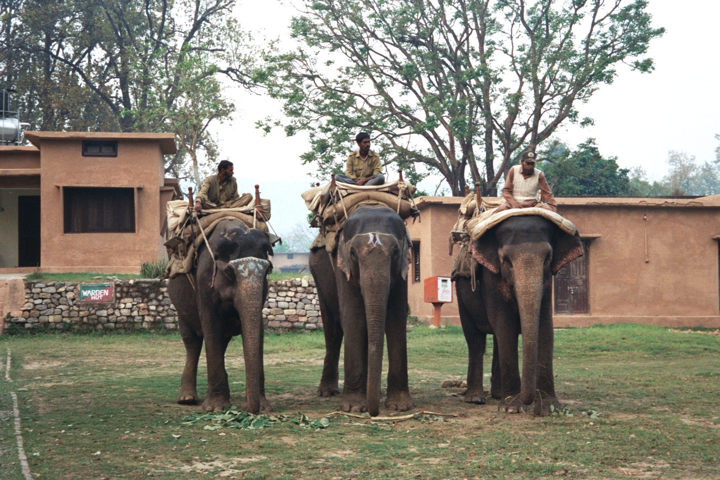 Sitabani Forest Reserve in Jim Corbett National Park