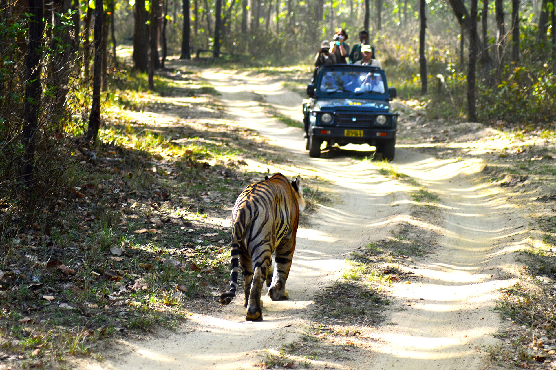 Kanha Mukki & Kisli Deep Habitat Quest