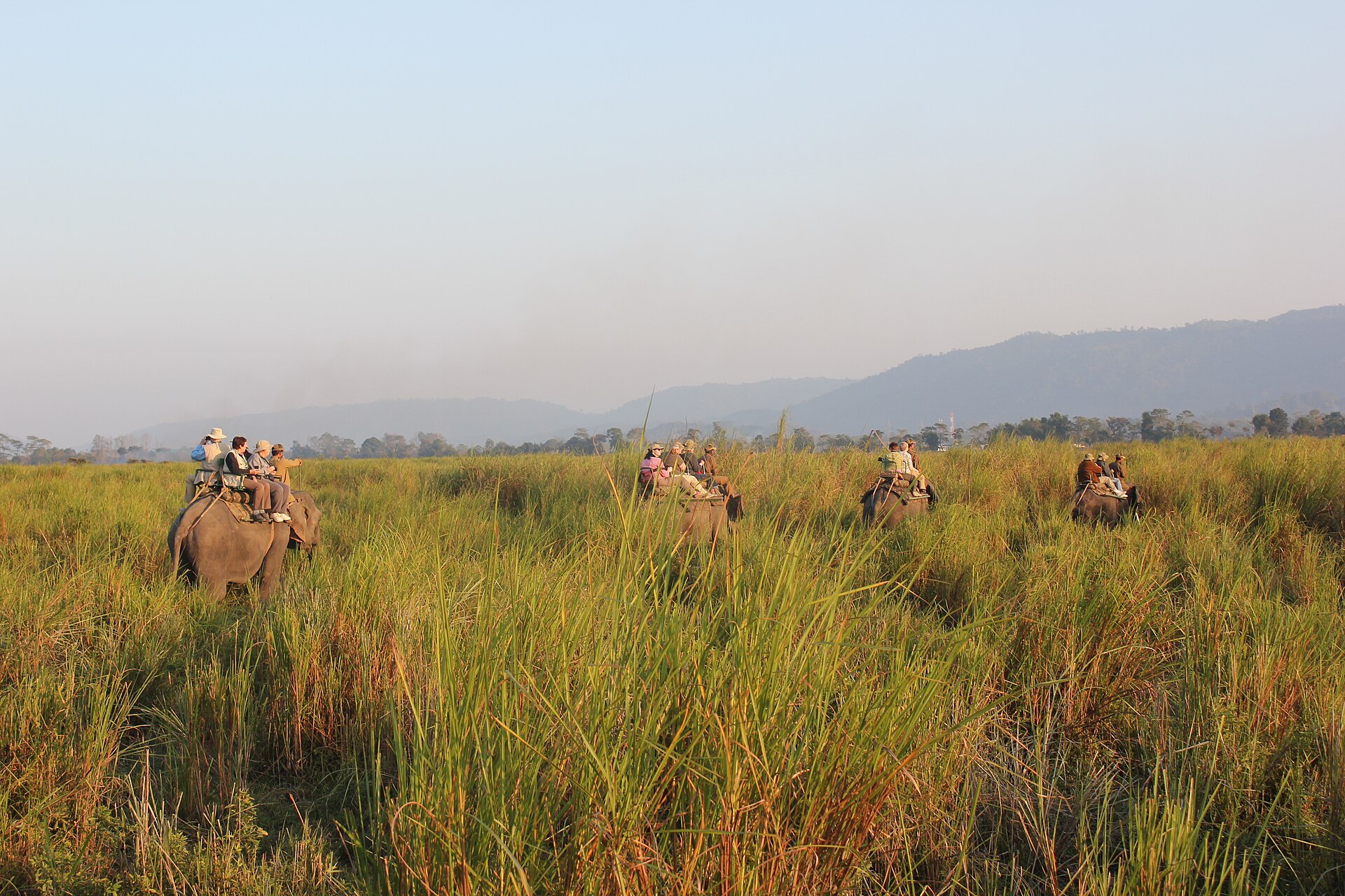 Kaziranga Big Five Safari Quest