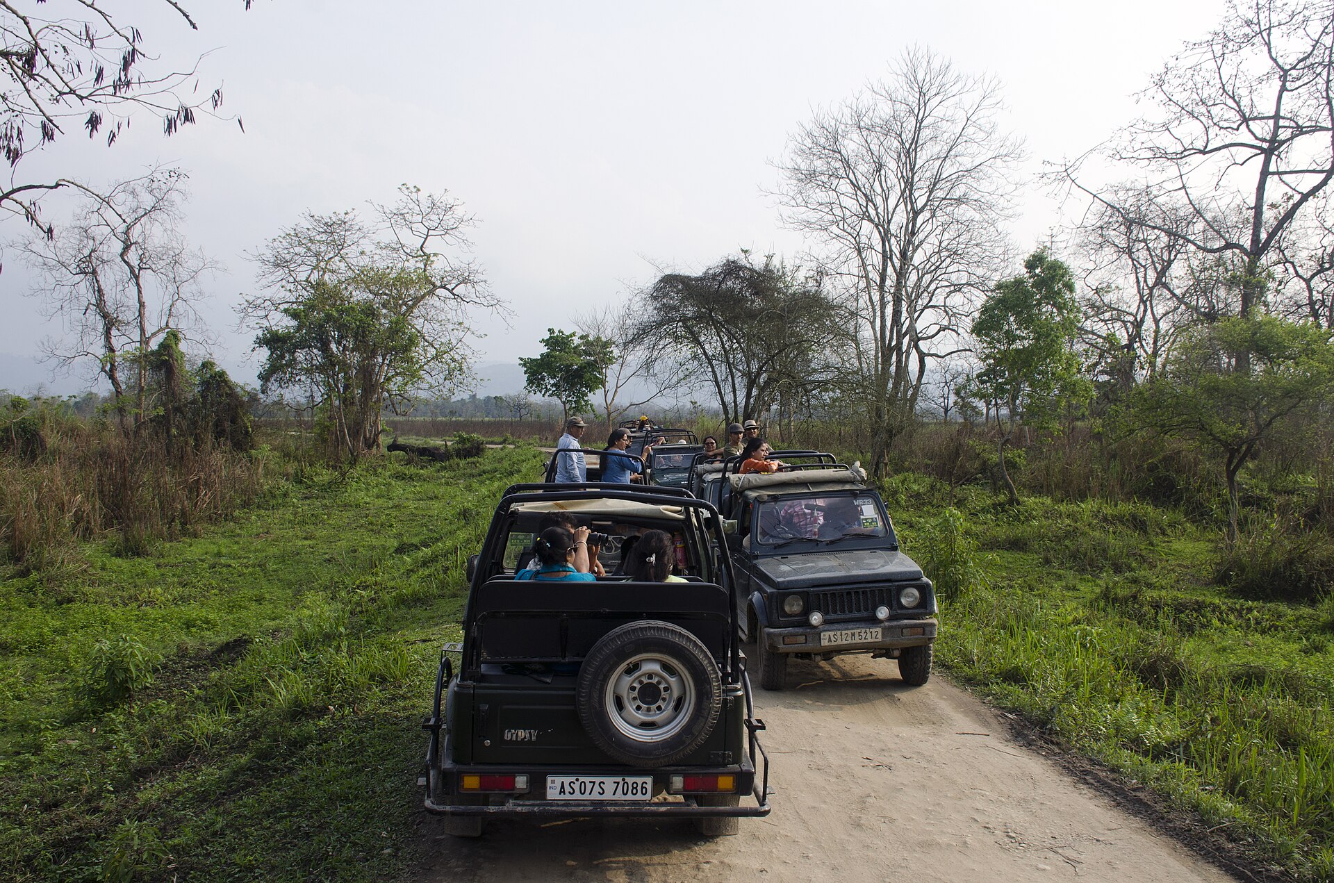 Kaziranga Rhinos & Tea Estate Heritage Escape
