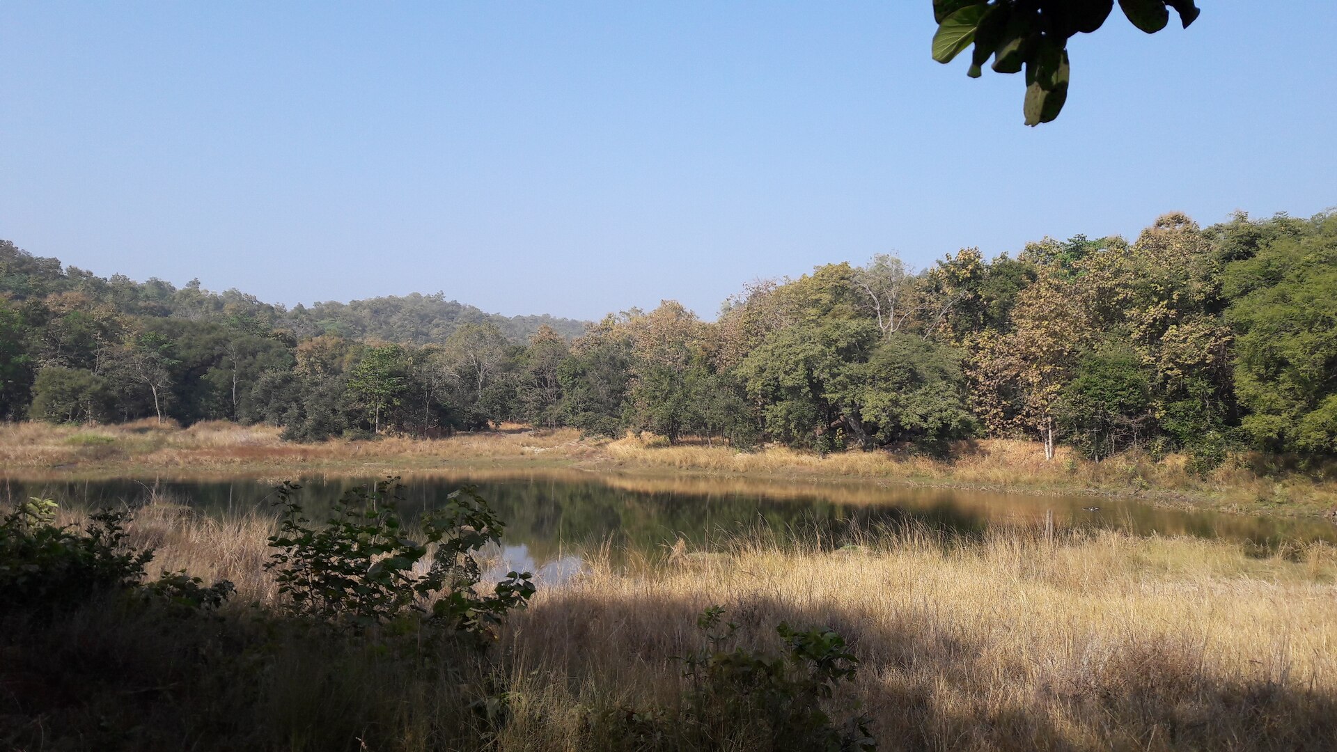 Pench National Park landscape
