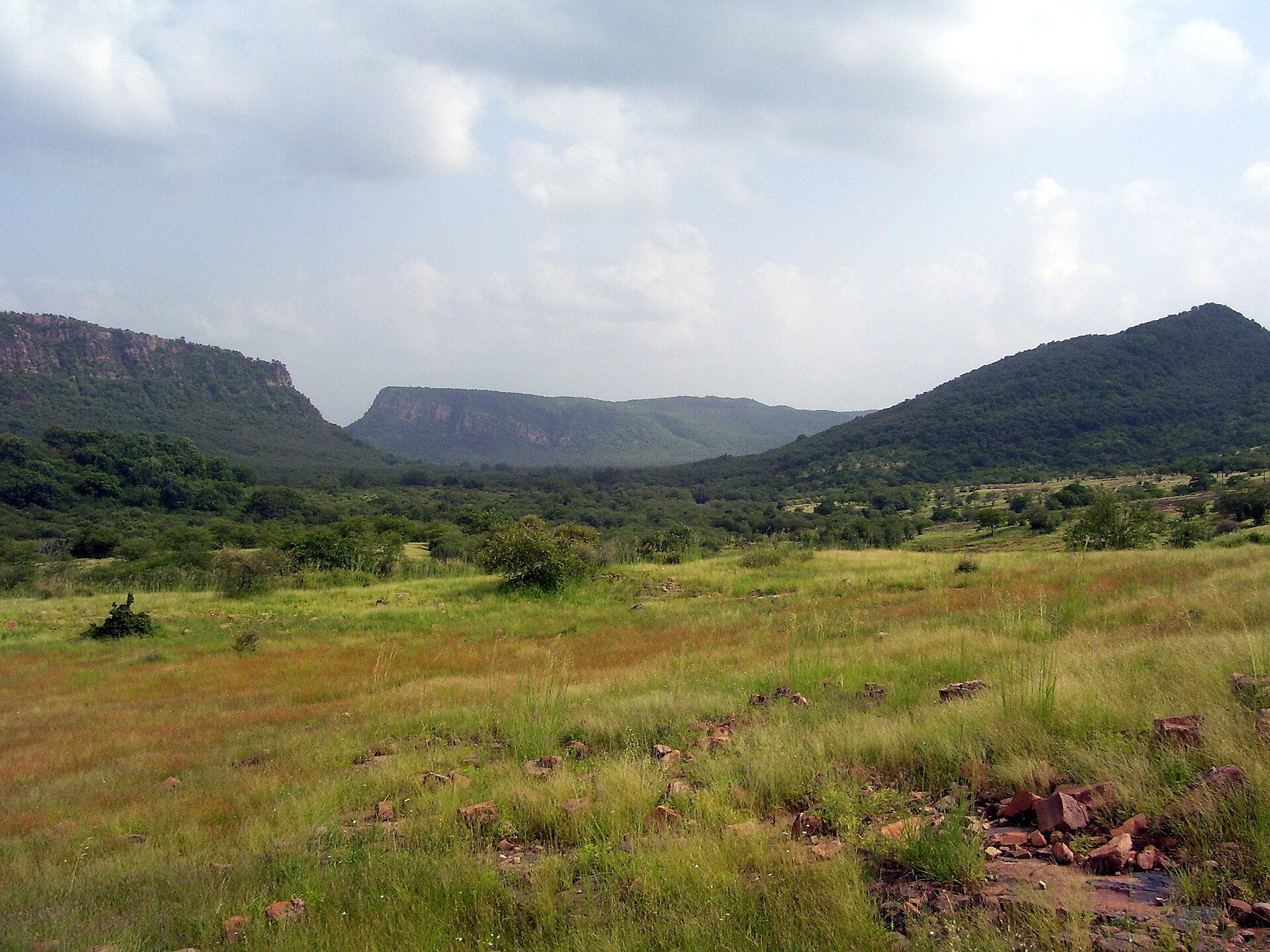 Ranthambore National Park landscape