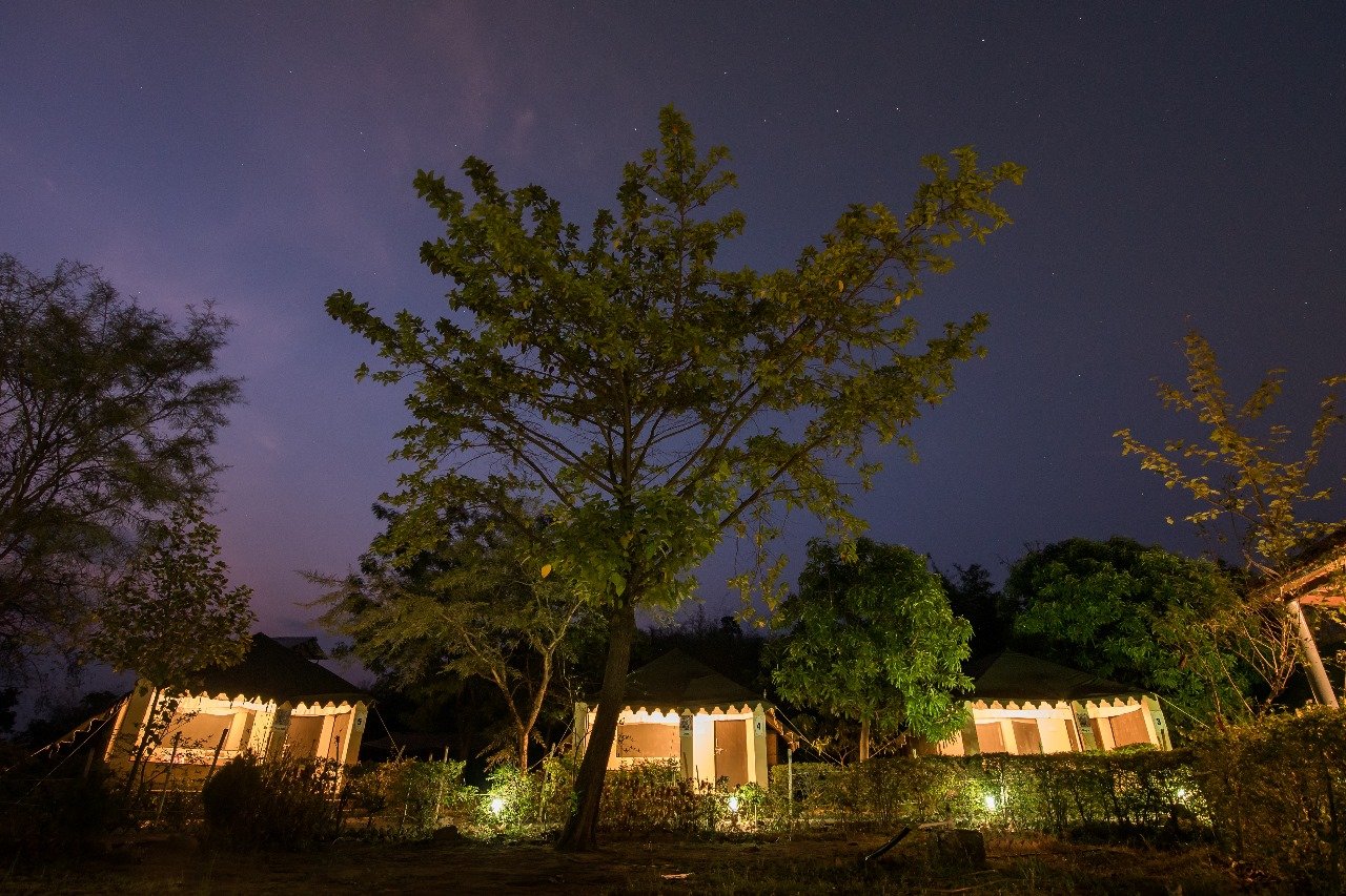 Camp Serai Tiger - Tadoba